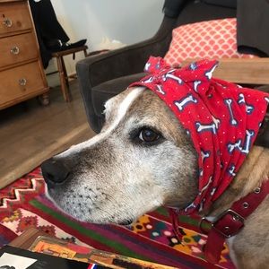 Meet your Posher, Margot